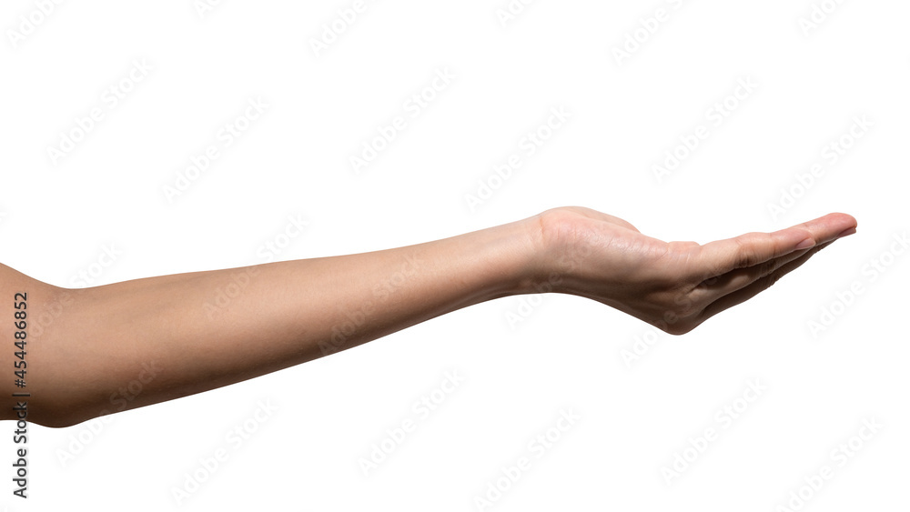Fototapeta premium isolated of a woman's hand holding something like a bottle or can. 