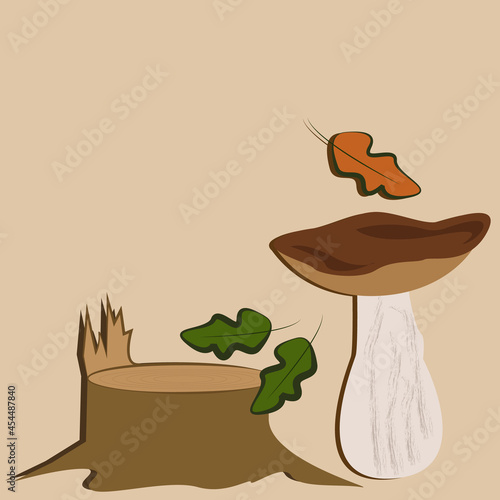 Porcini under the stump