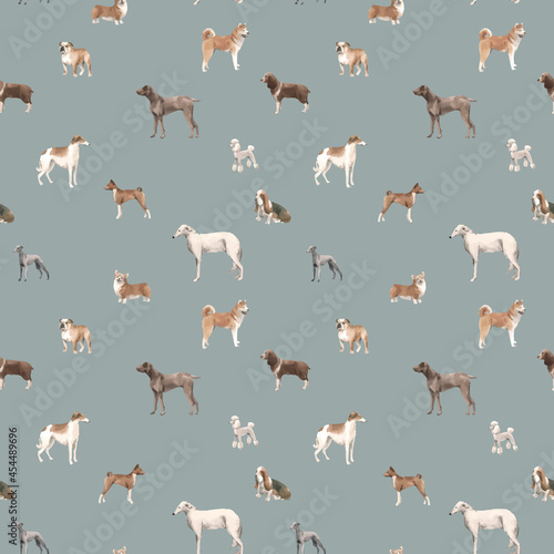 Beautiful autotraced vector seamless pattern with cute watercolor hand drawn dog breeds Cocker spaniel Greyhound Hound Basenji and Russian Greyhound Whippet . Stock illustration.