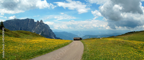 Dolomites mountains, road and meadow panorama