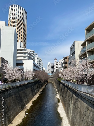 Meguro River in bloom with cherry blossoms in Nakameguro, Meguro-ku,Tokyo, Japan - 2021.3.27 