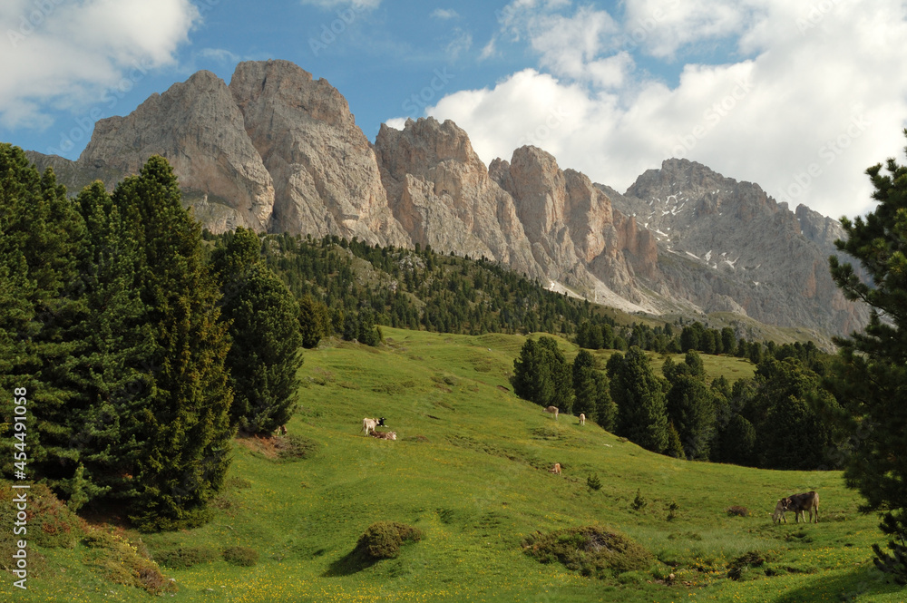 Dolomites landscape with mountains and cows
