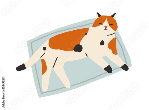Cute cat sleeping on rug. Adorable sweet kitty pet lying and napping on floor at home. Top view of happy relaxed kitten on mat. Flat vector illustration of feline animal isolated on white background