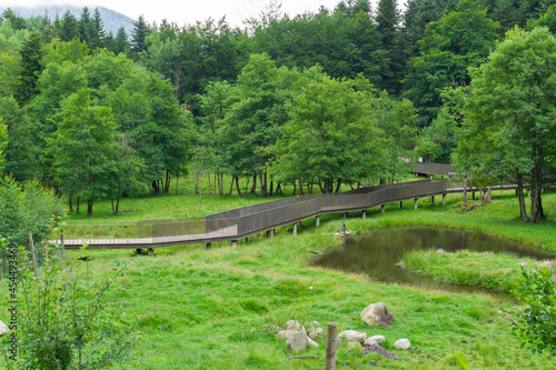 Footbridge with railing over a lake in the middle of a green forest