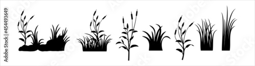 Meadow vector set. Green grass vector silhouette. Grassland vector illustration.