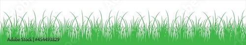 Green meadow vector illustration. Green grass vector silhouette