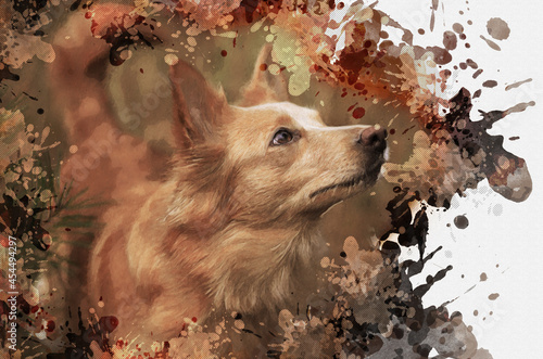 Portrait of a red mixed breed dog. The female dog looks upwards into the stern. Pet. Contemporary digital watercolor painting.