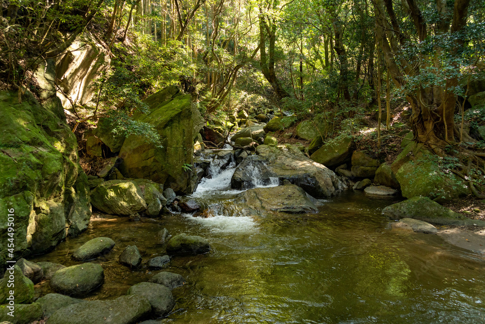 Stream go through the forest in Fukuoka prefecture, JAPAN. Stream go through the forest in Fukuoka prefecture, JAPAN.