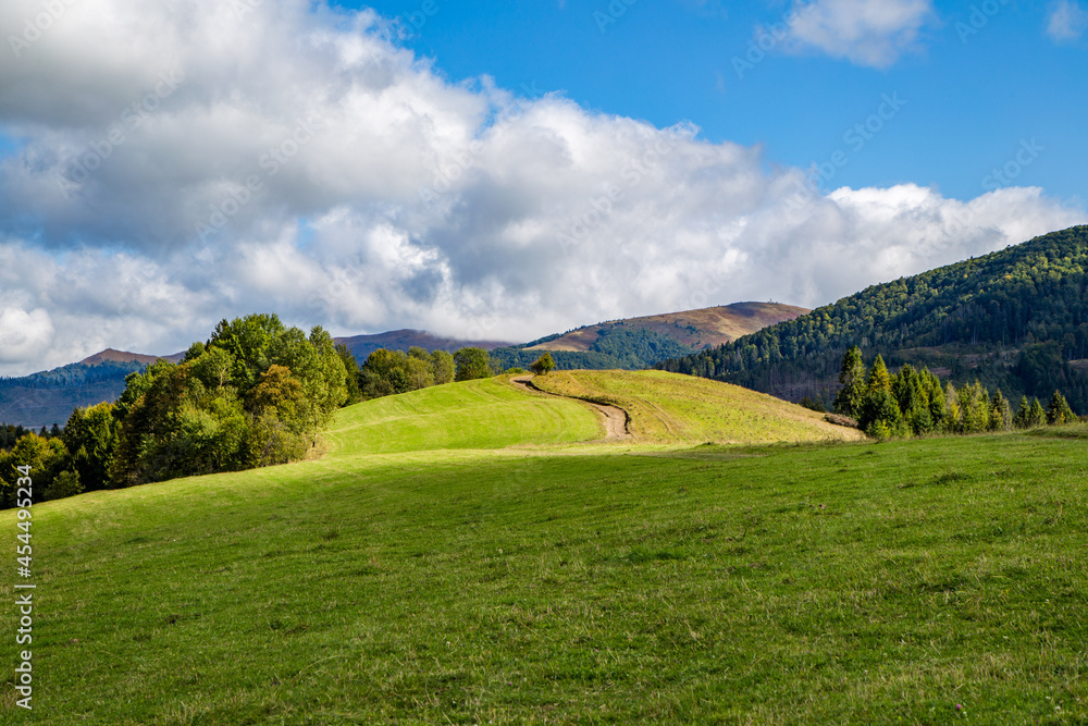 hills covered with grass and trees on a background of mountains covered with coniferous forest. Mountain landscape. In the sun. Breathing in nature.