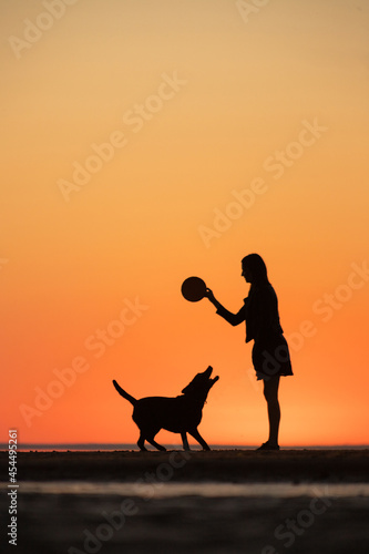 man or woman walking the dog at sunset  a walk by the lake or sea at sunset  beautiful nature and sunset light from the sun  training the dog or communicating with nature