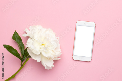 Mobile phone white screen and beautiful white peony flower in vase on pink background with copy space, holiday and birthday concept