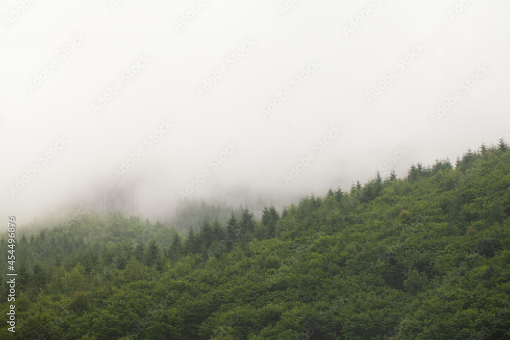 Beautiful clouds high in the mountains.