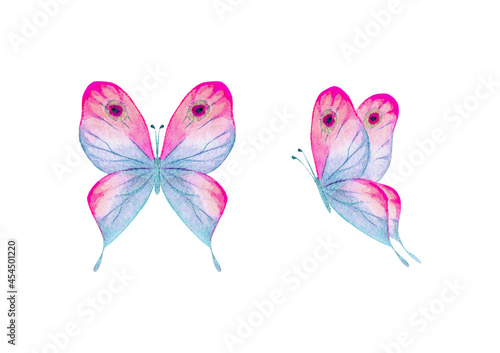 Watercolor botanical summer...