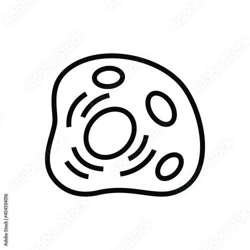 Cytoplasm icon photo