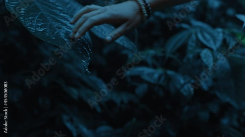 close up woman hand touching plants in rainforest at night feeling wet leaves exploring lush tropical jungle in the dark enjoying calm evening in nature