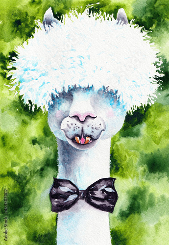 Fototapeta Naklejka Na Ścianę i Meble -  Cute Llama Watercolor Illustration Original Art at the paper. Alpaca Man Poster Hand Painted in Watercolour Style. Can be used for Print Wallpaper and Background
