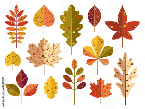 Cartoon Autumn Tree Leaves and Fall Foliage