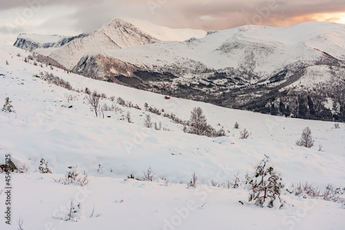 Winter landscape near Dinglavatnet lake. Volda, Norway. photo