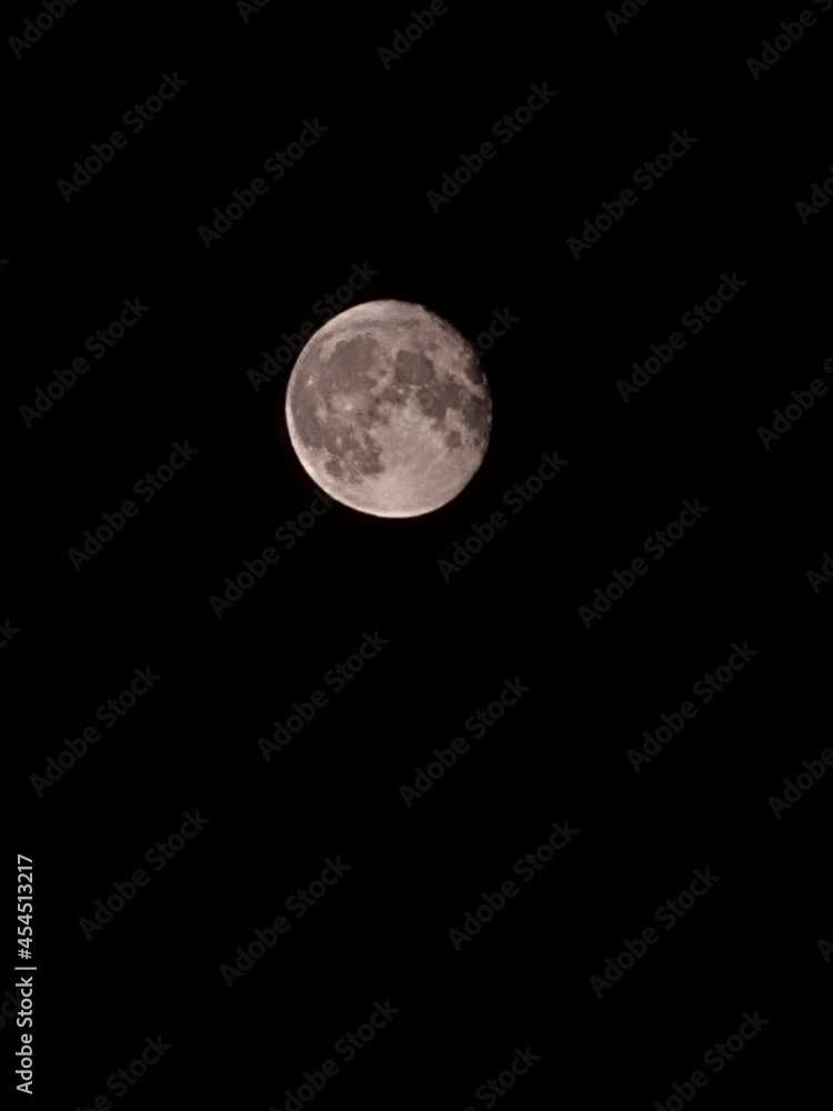 moon moon