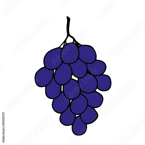 Grape Black Grapes Wine Fruit Line Art Colour Sketch Creature Animal Outline Silhouette Design Element Art SVG EPS Logo PNG Vector Clipart Cutting Cut Cricut
