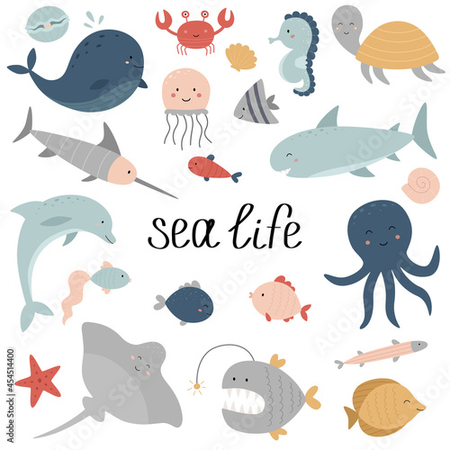 A set of ocean dwellers. Marine life. Whale, swordfish, turtle, seahorse, stingray, dolphin, shark, jellyfish, fish, shells, crab, pearl, octopus, starfish. Vector illustration