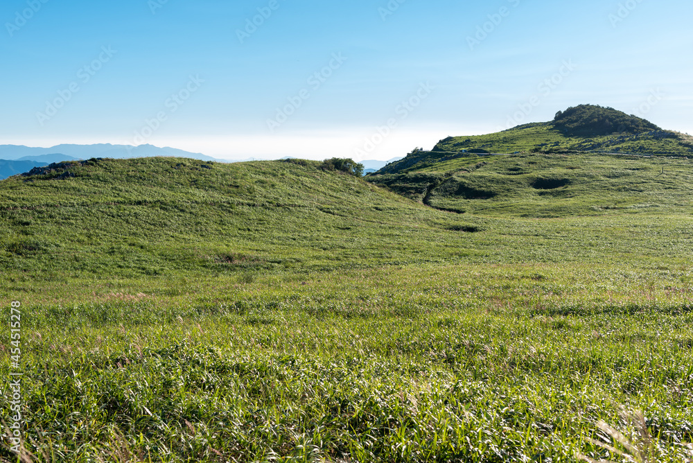Fototapeta premium 夏の四国カルスト・天狗高原