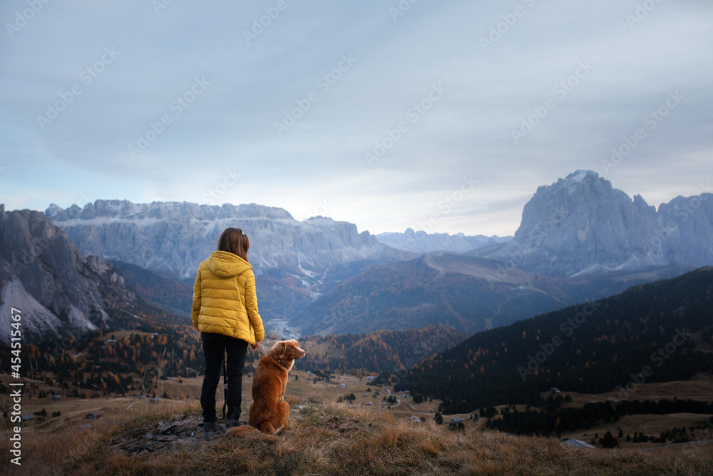 girl with a dog at the top, peak. travel, Nova Scotia Duck Tolling Retriever with with a woman in a yellow jacket 