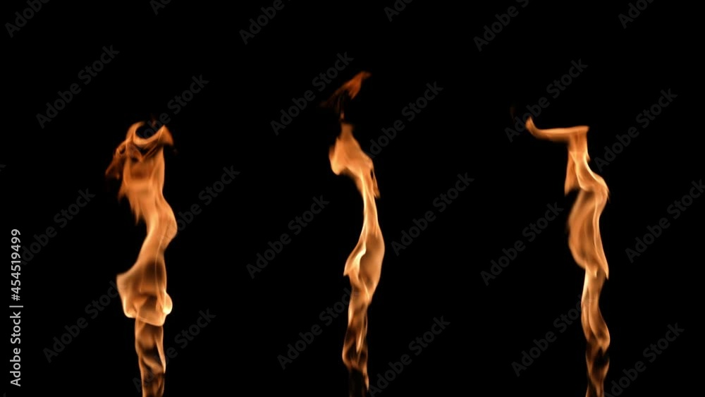 Three flames alternately light up and glow an orange yellow fire against black background. Real bonfire, burner or torch flares up in the dark. Fire glow, dangerous blazing fire close up. Slow motion. Three flames alternately light up and glow an orange yellow fire against black background. Real bonfire, burner or torch flares up in the dark. Fire glow, dangerous blazing fire close up. Slow motion.