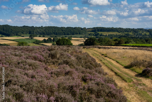 Heather meets farmland and woods, North York Moors photo