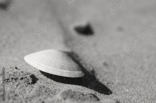 golf ball on the sand
