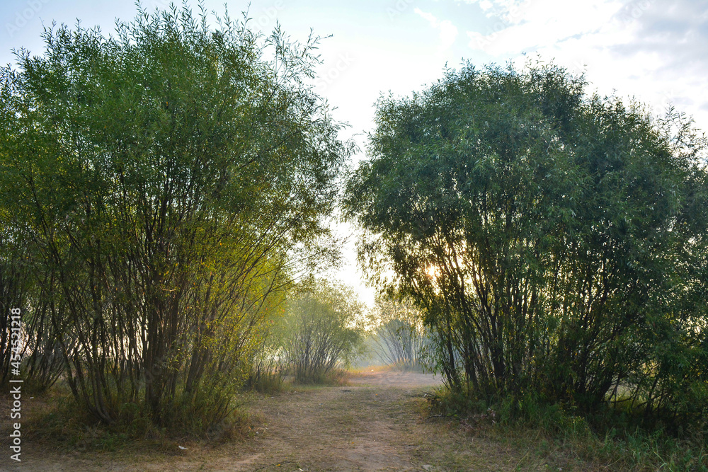Fototapeta premium bank of the Moksha river on the border of Bashkiria
