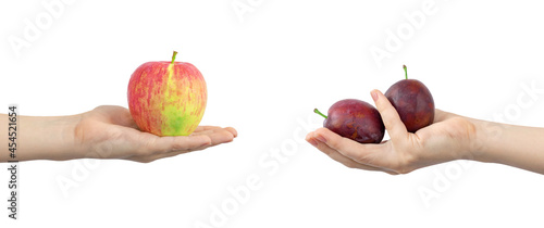 Hands with ripe and fresh fruits, red apple and plum, banner, isolated on a white background