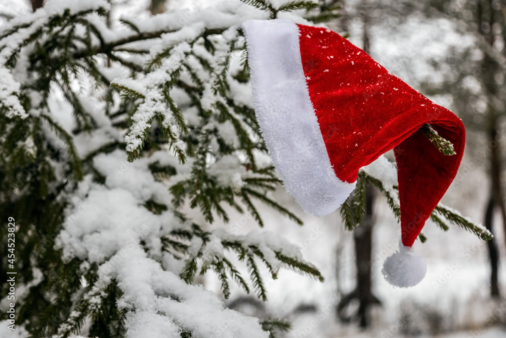 santa claus hat hanging on winter Christmas tree covered with snow