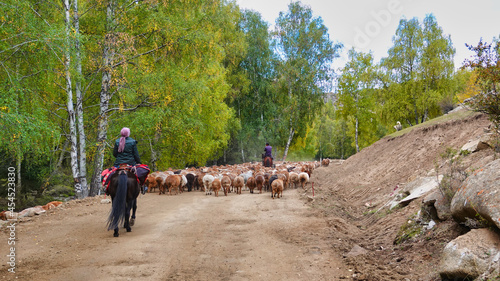 The shepherd rode his horse and drove his flock along the forest road.