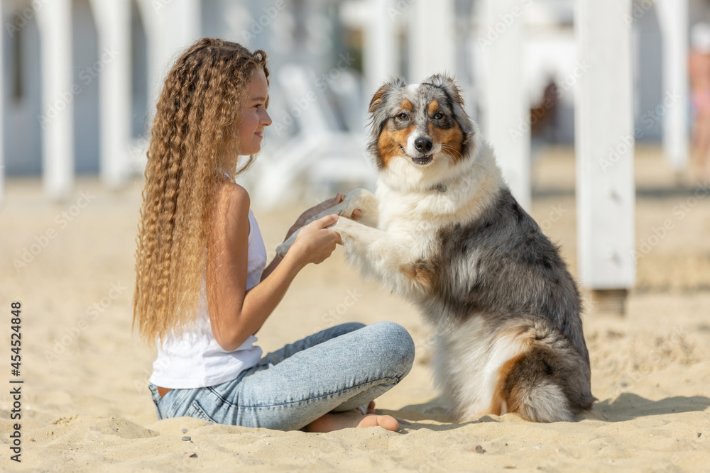 A child with a dog in nature. High quality photo A child with a dog in nature. High quality photo