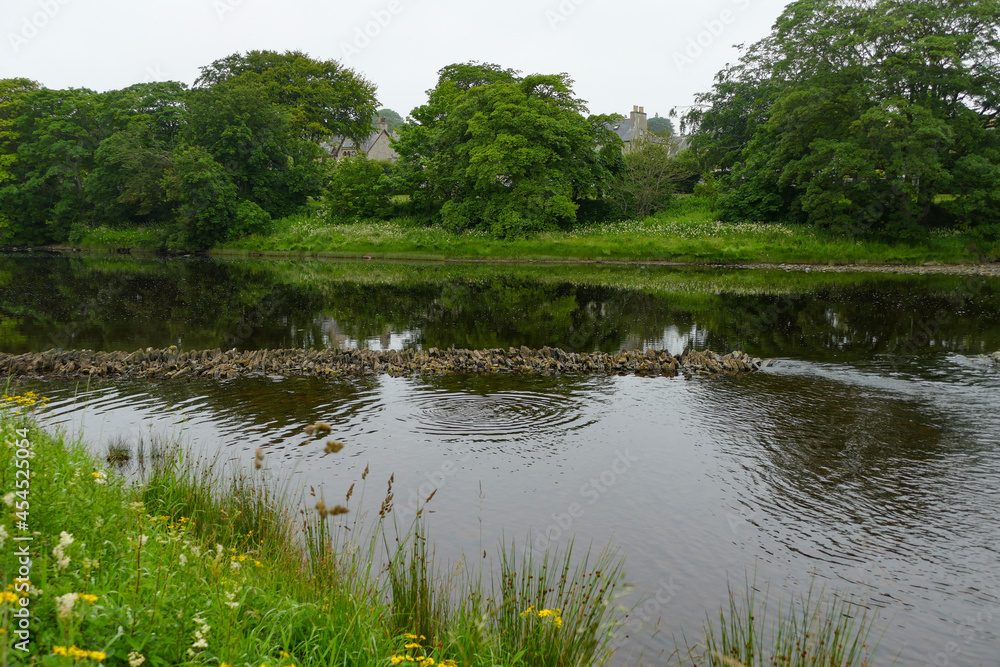 lake in the park