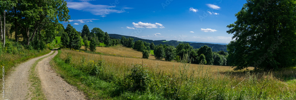 Summer meadow and forest in Orlické hory (Orlicke Mountains), Czechia