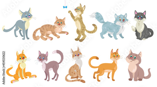 Set of ten funny cats. In cartoon style. Isolated on white background. Vector flat illustration.