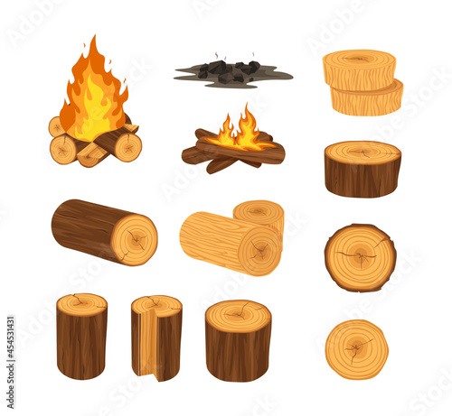 Wood industry products, tree trunks, bark, branches, planks, chest, shavings, firewood boards, fire burning wooden logs, wood campfire.