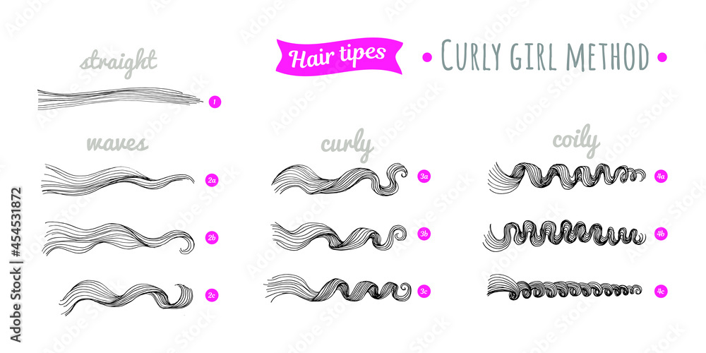 Scheme of curly hair of different types. Straight, waves, curly, coily hair. Curly hair type chart. Curly girl method.