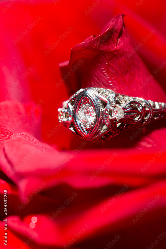 Platinum Ring With A Diamond On A Red Rose, close-up Platinum Ring With A Diamond On A Red Rose, close-up