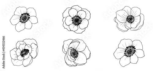 Vector beautiful monochrome anemone flowers, elements isolated on white background. Vector file.