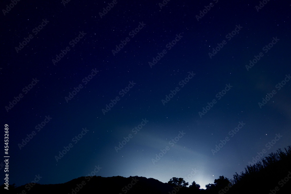 Wonderful night sky with stars and trees forest Wonderful night sky with stars and trees forest
