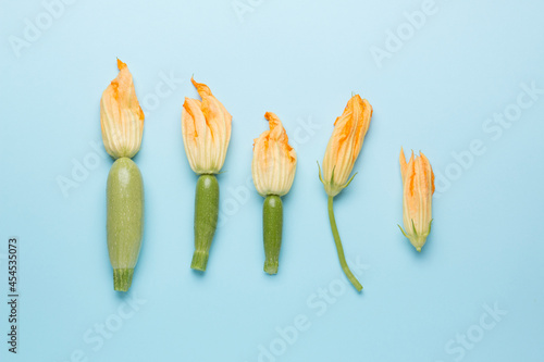 Zucchini and zucchini flowers on a bright blue background. 
