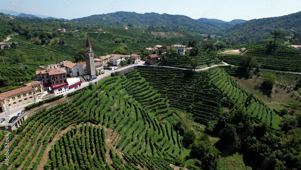 Italian Vineyards in the Summer, in the village of Prosecco, Stunning Aerial View