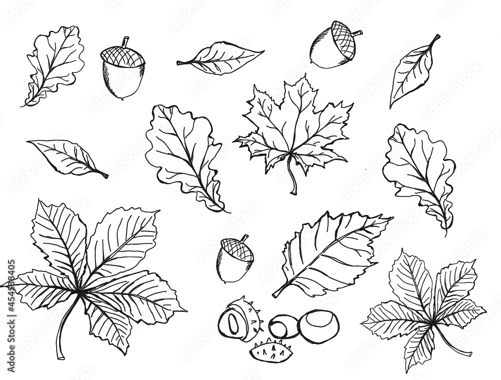 plik wektorowy, papier, bazgrać, ilustracja, szkolne, szkic, losowanie, framuga, komiks, edukacja, projekt, sztuka, serca, deseń, dekoracja, symbol, dłonie, brulion, icony, kwiat, bisnes, kreska, boże