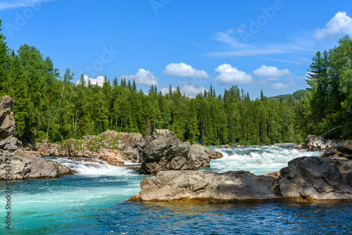 View of the turbulent water flow of the mountain river among the green forest, wildlife