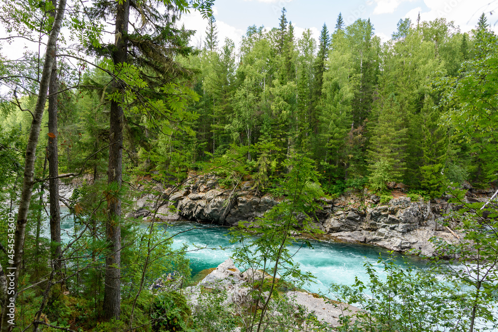 View of the turbulent water flow of the mountain river among the green forest, wildlife View of the turbulent water flow of the mountain river among the green forest, wildlife