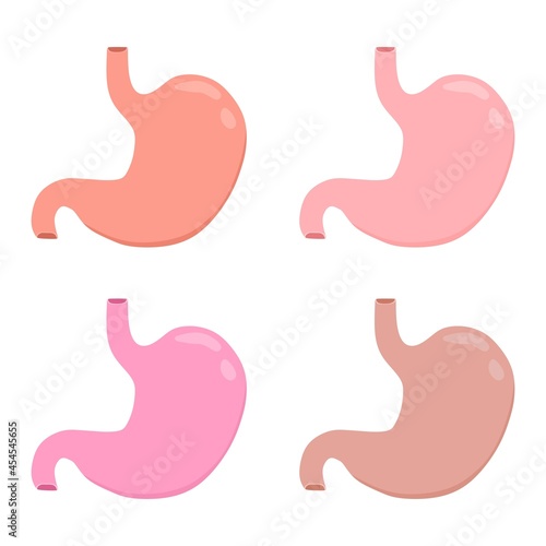 Vector illustration set of stomach, suitable for advertising health and education products