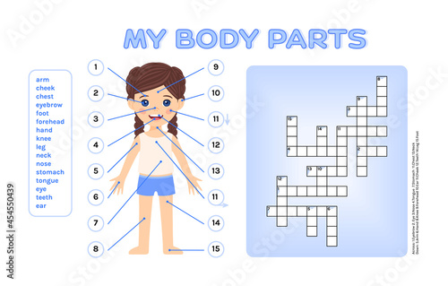 Crossword Puzzle for Children. Parts of My Body. Cute Girl and Test for Kids. Template and Blank for Educational Game, for School Lesson Anatomy, Biology. Printout. Cartoon style. Vector illustration